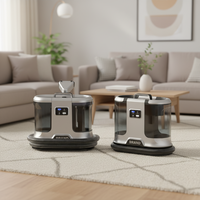 Nettoyeur Vapeur Professionnel Électrique Portable pour Canapés et Tapis, Aspirateur Eau et Poussière à Main pour Usage Domestique