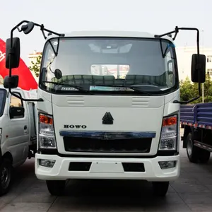 Vendita calda cinese di buona qualità Euro4 piccolo howo 2 ton 3 ton 4 ton 5 ton dimensioni camion camion