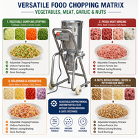 Commerciële industriële automatische voedselhakselaar, groente- en fruitpers, mixer, blender, 220V, voor restaurantgebruik