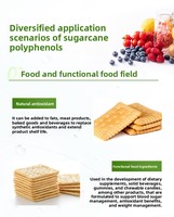 Matière première alimentaire : Polyphénols de canne à sucre à 20 %, extrait de canne à sucre, nouvelle ressource alimentaire, régulateurs d'acidité en stock