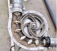 Équipement d'alimentation automatique de type chaîne GREAT FARM pour les élevages porcins, entraîné par moteur, facilitant l'automatisation de la distribution des aliments