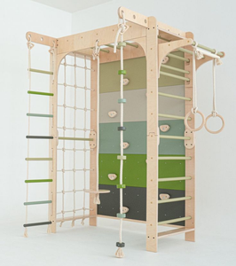 Struttura per Arrampicata Indoor Montessori per Bambini, Multifunzionale 9 in 1 in Legno, Palestra per Bambini con Scala Svedese - Product Image 1