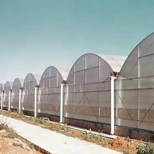 温室プラスチックフィルム温室水耕栽培温室システムマルチスパン農業温室中国
