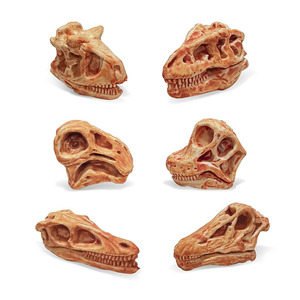 Lelewu mô hình khủng long rắn mô phỏng đồ chơi khảo cổ học Tyrannosaurus Velociraptor tĩnh - Product Image 5