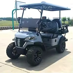 New Model Passenger golf <strong>buggy</strong> electric Full <strong>Set</strong> with Enclosure Bag Holder Charger Ready for Sale - Product Image 4