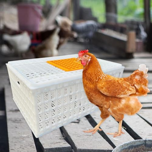 Jaula de Transporte de Animales Vivos para Granjas Avícolas, Tamaño Grande 750*550*320mm, Color Naranja, Jaulas de PP para Transporte de Pollos Vivos - Product Image 4