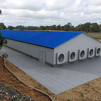 Poulailler Moderne de Style Ferme pour Petits Poulets, Structure en Acier, Cage d'Élevage de Poulets de Chair, Prix Compétitif