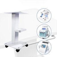 Chariot de Salon Moderne en Acier Inoxydable avec 4 Roues pour Appareils de Beauté, Spa, Salon de Manucure, Salle de Bain