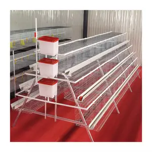 egg laying layer chicken cages for sale