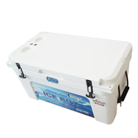Glacière isotherme en plastique TOLEE 60L, glacière portable pour boissons, canettes de bière, pêche, extérieur