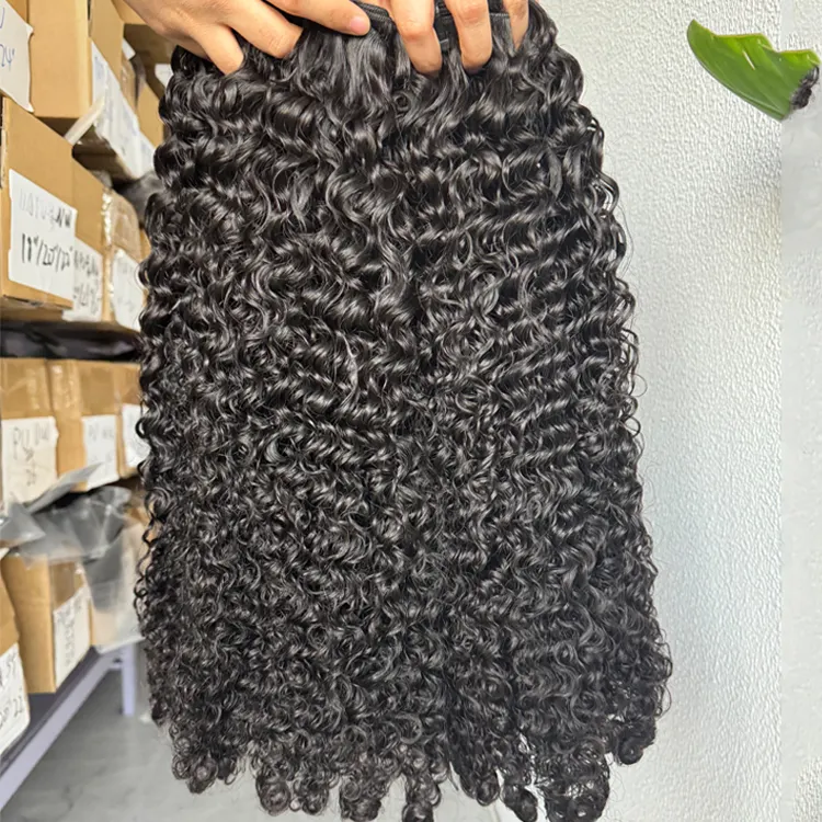 Fabrikgroßhandel rohes vietnamesisches menschliches Haar natives burmesisches lockiges Haar Bündel Verkäufer