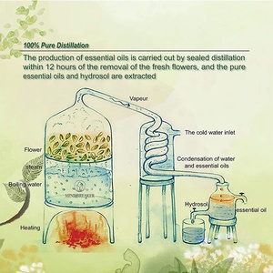 Huile <span class=keywords><strong>de</strong></span> fleur <span class=keywords><strong>de</strong></span> <span class=keywords><strong>Rose</strong></span> biologique OEM, flacon <span class=keywords><strong>de</strong></span> pétale d'<span class=keywords><strong>eau</strong></span> hydratante en profondeur, tonique <span class=keywords><strong>naturelle</strong></span> et hydratante, ml - Product Image 6
