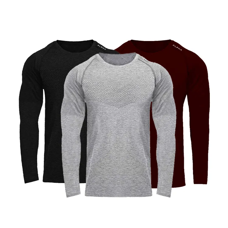O Neck Long Sleeve Mesh Polyester Quick Dry Workout Gym Athletic T Shirt Men