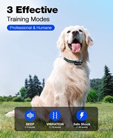 2er-Pack Fernbedienbare Hundetrainingshalsband IP67 Wasserdicht Wiederaufladbar mit Ton, Vibration und Sicheren Schockmodi für Alle Hunderassen