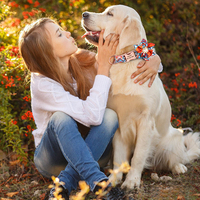Accessoires de fleurs bijoux colliers en métal or Rose adresse jointe gravé sublimation animal de compagnie Logo personnalisé collier de luxe pour chien