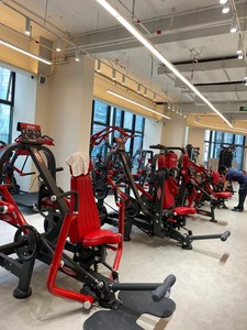 Máquina de extensión de piernas <span class=keywords><strong>Panatta</strong></span> Steel Split-Action, equipo de fitness estilo estudio para entrenamiento de pantorrillas sentado y flexiones de isquiotibiales acostado. - Product Image 4