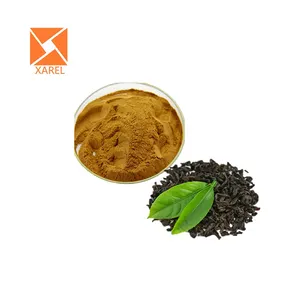 Tự nhiên L-theanine bột màu xanh lá cây chiết xuất trà 20% theanine