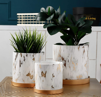 Pot de plantes en marbre pour l'intérieur, jardinière succulente métallique dorée en céramique