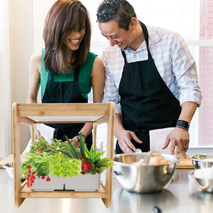 Sistemas de Cultivo Hidropónico de Bambú para Interiores <span class=keywords><strong>2023</strong></span>, Luces LED de Espectro Completo para Plantas, Invernadero Interior, Jardín Doméstico - Product Image 5