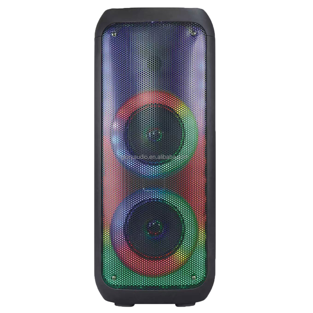 Dual 6.5 Inch High Power RGB LED Portable Party Speaker Wireless TWS USB AUX Flaming Light Plastic Rechargeable Speaker Battery