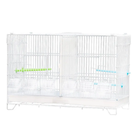 Vente en gros de cage en fil de fer d'élevage de perroquet Pigeon Cage extérieure en fil de métal pour grand perroquet blanc Cage à oiseaux de caille