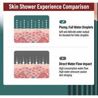 Pommeau de douche réglable à 3 jets avec filtre PC, écologique, chromé, personnalisable, économiseur d'eau, avec pierres minérales