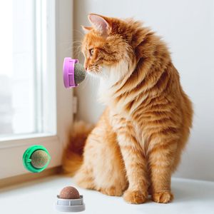 Juguete Multifuncional Giratorio para Gatos con Hierba Gatera y Menta, Pelota de Hierba Gatera para Limpieza Dental, Juguete de Aguacate con Hierba Gatera - Product Image 6