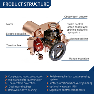 Motor de Inducción Tipo Ardilla de 2500 Nm, IP67, 4-20 mA, Compacto y de Construcción Ligera W - Product Image 5