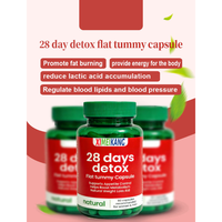 OEM ODM Capsules Détox Brûle-Graisses 28 Jours, Complément Alimentaire Coupe-Faim à Métabolisme Rapide