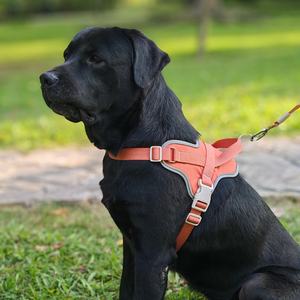 犬用アウトドアウォーキング犬用ハーネスポーチホルダー付きソフトハーネスセット - Product Image 1