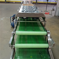 Automatic Commercial Corn Flour Tortilla & Roti Bread Maker Machine Food Grade Stainless Steel Core Components High Efficiency
