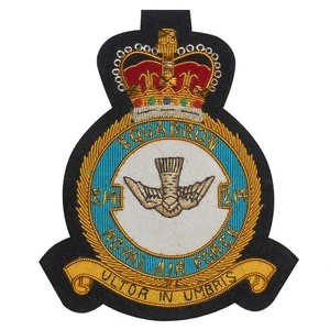 Tipo de insignia cosida bordada del ESCUADRÓN REAL - Product Image 1