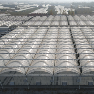 Specialized tomatenkweekkas met mobiele banken en groeilampen voor gezonde, sterke planten - Product Image 3