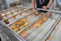 Automatische Samengestelde Pringles Legt Aardappelchips Productielijnmachine Voor Frietjes