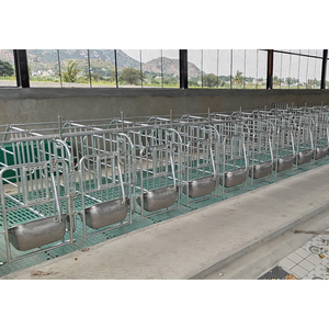 Jaula Galvanizada con Comederos al Mejor Precio, Equipo para Cría <span class=keywords><strong>de</strong></span> <span class=keywords><strong>Cerdos</strong></span>, Corral <span class=keywords><strong>de</strong></span> Gestación para <span class=keywords><strong>Cerdos</strong></span> - Product Image 4