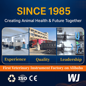 ไหมเย็บแผลสัตวแพทย์ WANJIA รวมถึงไนลอน PGA โพลีกลาคติน สำหรับใช้ในศัลยกรรมวัว <span class=keywords><strong>แกะ</strong></span> แพะ สุกร และสัตว์เลี้ยง - Product Image 5