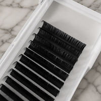 Extensions de cils professionnelles pour salon, plateau de cils individuels, courbure C D CC, 0,05 mm 0,07 mm, fibre synthétique, outils de maquillage pour les yeux