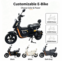 Produk Terlaris Pabrik: Sepeda Listrik Berkualitas Tinggi U2 Pro Electric City Bike E Bike Ebike Sepeda Ban Tebal