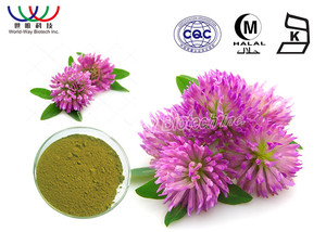 Hạt Cỏ Ba Lá Đỏ Nguyên Chất Chiết Xuất Cỏ Ba Lá Đỏ <span class=keywords><strong>P.E</strong></span> 8-<span class=keywords><strong>40</strong></span>% - Product Image 2