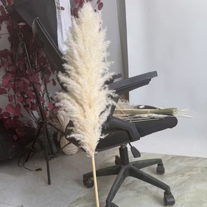 <span class=keywords><strong>Grande</strong></span> Herbe <span class=keywords><strong>de</strong></span> la <span class=keywords><strong>Pampa</strong></span> Naturelle et Volumineuse, 2-4 pieds, Fleurs Séchées pour Décoration Intérieure, Décoration Bohème, Arche <span class=keywords><strong>de</strong></span> Mariage, Composition Florale, Bouquet <span class=keywords><strong>de</strong></span> Pampas - Product Image 6