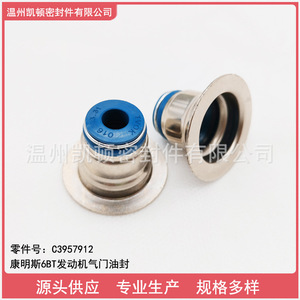Sello de Válvula para Motor Cummins 6BT, Número de Pieza C3957912 - Product Image 5