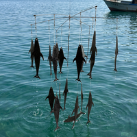 SEEHOO Flaps de pêche pour la pêche en haute mer au trolling de gros gibier, flaps de pêche en eau salée pour la pêche au tombolo