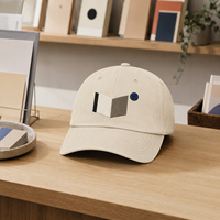 Gorra Dad Cap de Algodón Sarga con Corona Suave y Bordado Plano, MOQ Bajo, Empaque Minorista para Compradores de Librerías de Arte de Nicho con Logotipo Personalizado