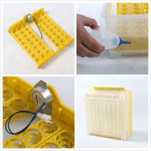 Hoàn toàn tự động trứng lồng ấp và ấp gà 64 lồng ấp trứng 12V 220V ở Nam Phi - Product Image 6