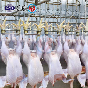 Système d'abattage de volaille à haute productivité de 300 à 15 000 BPH avec composants de roulement et de moteur, technologie de pointe, <span class=keywords><strong>service</strong></span> clé en main - Product Image 1