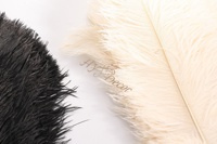 Vente en gros de plumes d'autruche pour décoration de mariage 50-55cm 60cm 70-75cm crème rose blanc noir plume d'autruche centre de table