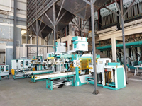 Machine d'emballage et de conditionnement entièrement automatique à haute productivité Ewinall QZB-600M pour sacs tissés doublement enduits de 25-50 kg, pour riz et aliments