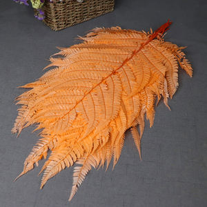 Reale Vita Eterna Fiori Grandi Foglie di Felce Fiddlehead Materiale per Tutti I Giorni Della Decorazione Garniture Decorazione - Product Image 3