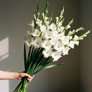 <span class=keywords><strong>Bouquet</strong></span> de 8 fleurs artificielles de gladiolus et d'orchidées |   Fleurs blanches et feuillage vert, tiges réalistes sans entretien pour les mariages - Product Image 1