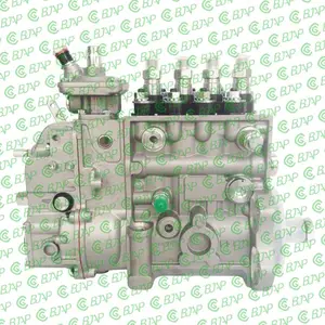 Fuel Injection Pump 10 404 564 023 10404564023、BYC ASIMCO Injection Pump 5318192